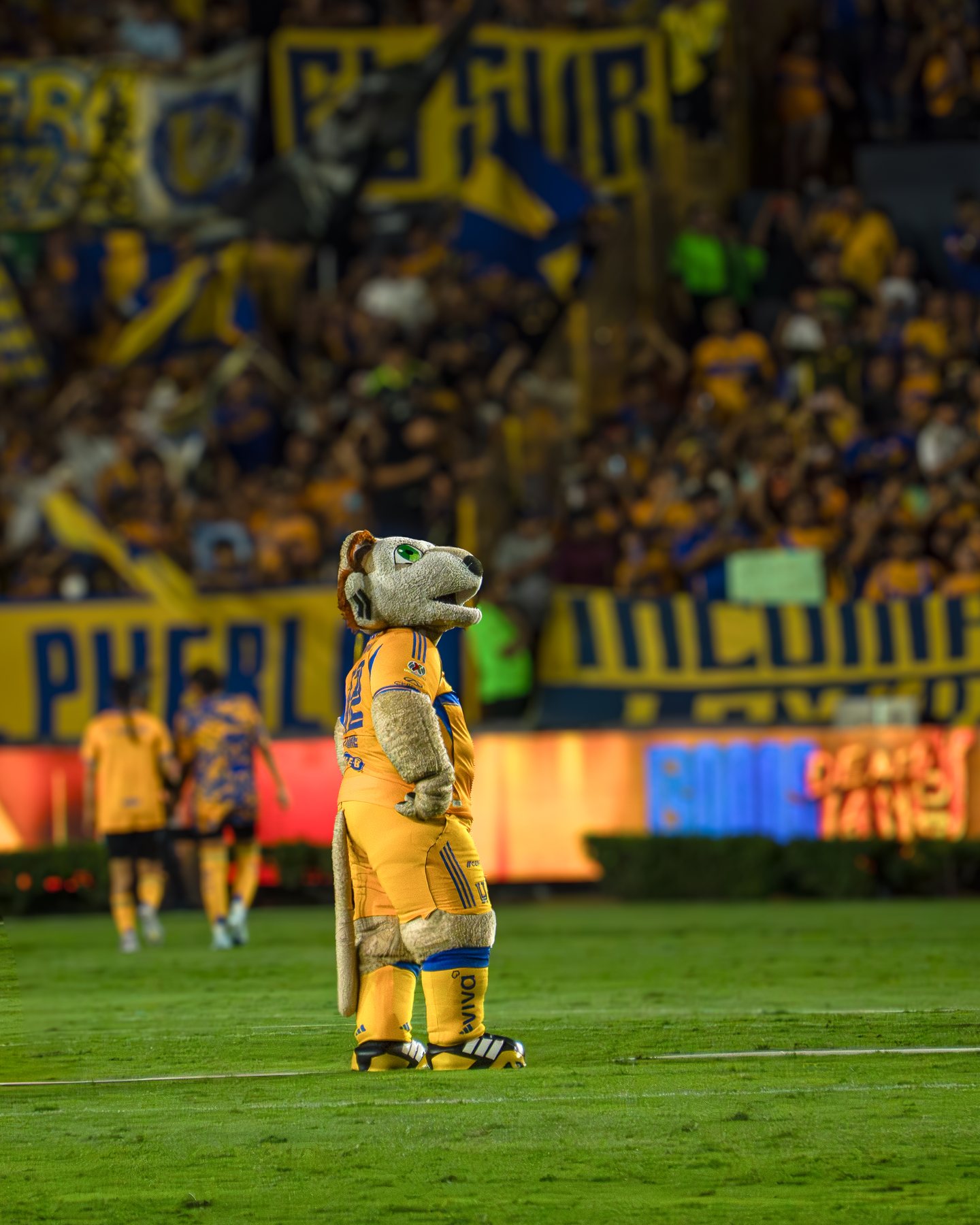 Mascota de Tigres frente a la tribuna