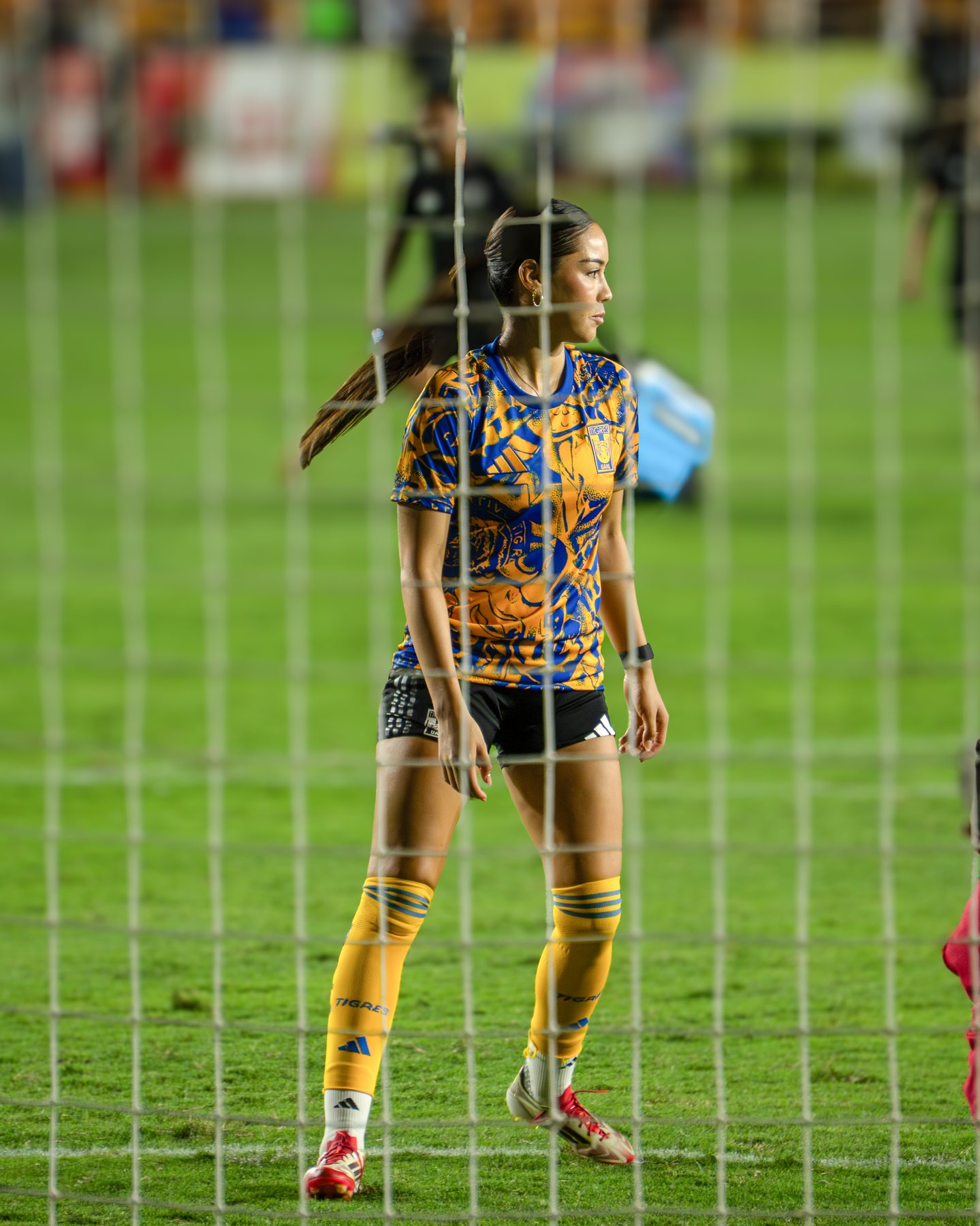 Jugadora de Tigres detrás de la red de la portería