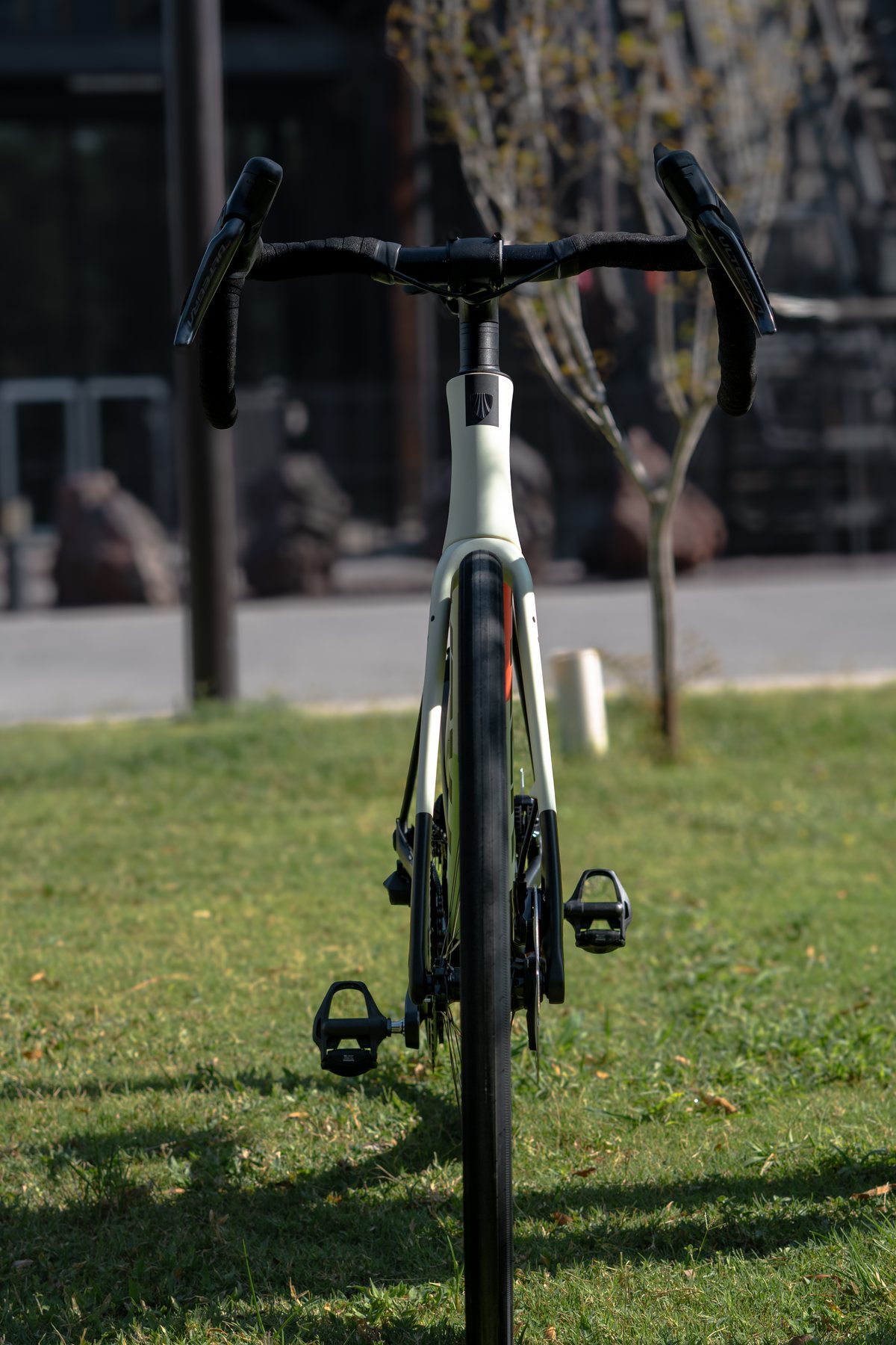 Trek Domane Gen 5 en un parque urbano de Monterrey
